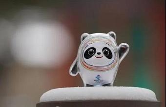 “冰墩墩”、、、、“雪容融”商标也抢手，，已被成功注册！！